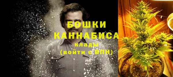 стаф Абаза