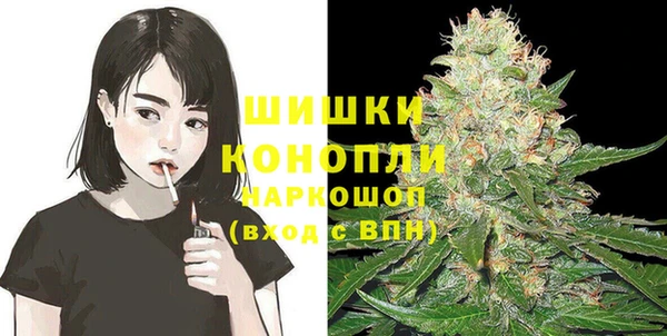 стаф Абаза