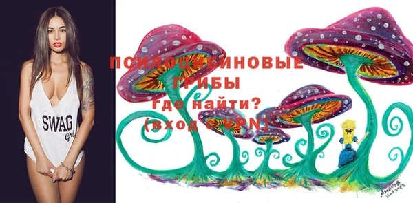 стаф Абаза