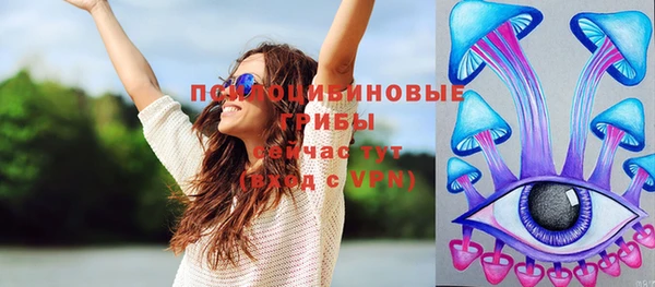 стаф Абаза